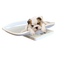 small Pet Scale Cat and dog Weight Weighing Scale Postal Scale 10kg